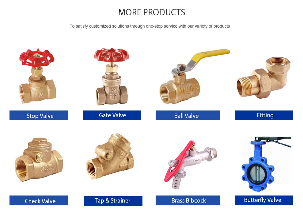 Garden Hose Female 3/4" Bsp Brass Quick Connector Coupling Fittings